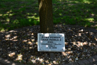 Otoczenie kościoła